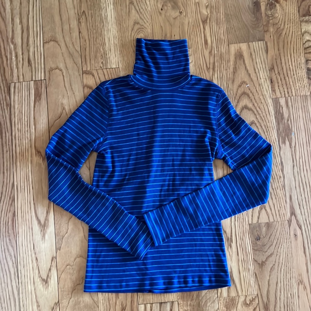 Everlane Pima cotton turtleneck
